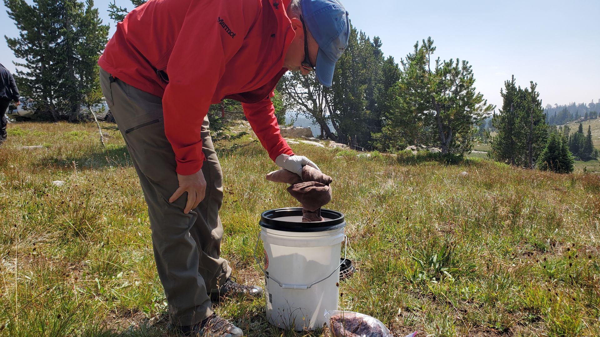 Absaroka Search Dogs
